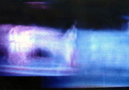 ¿Evidencia de vida extraterrestre o extradimensional?