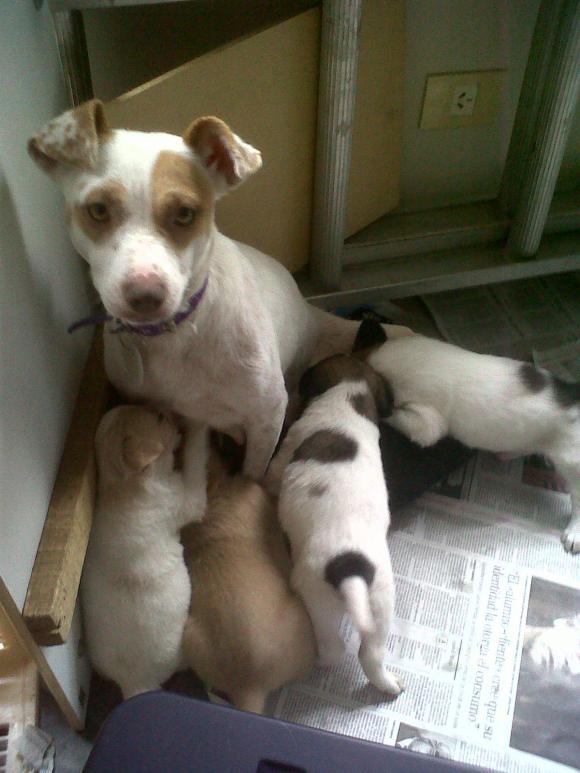 MOLLY Y BEBES