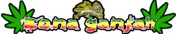 Zona ganjah