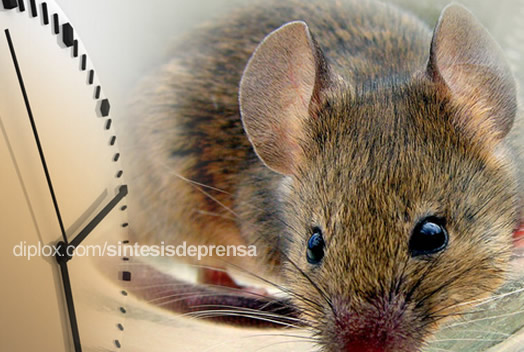 La inmortalidad, más accesible que nunca