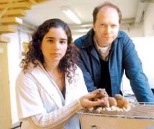 Cientificos Argentinos descubren que el Viagra ayuda a combatir el jet lag‏