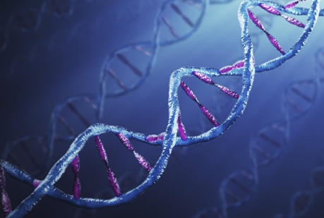 Usan ADN como disco duro para almacenar datos