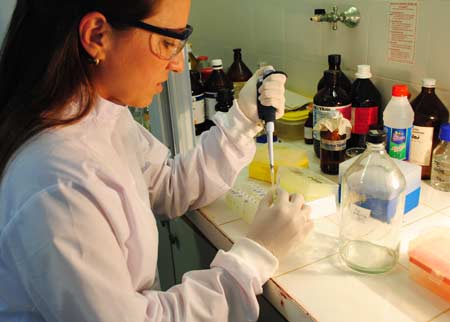 Cientificos Argentinos del INTA y del Conicet descifran el genoma de la moha