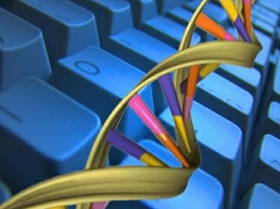 El ADN, usado como disco duro.