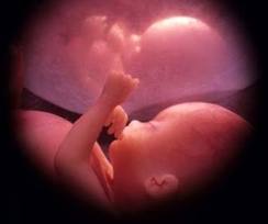 Carta Abierta a Legisladores de la Ciudad de Buenos Aires 