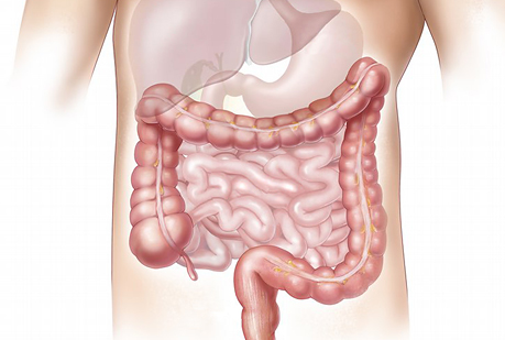 Siete cosas que deberías saber sobre tu digestión