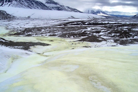 Las bacterias del Ártico ayudan a buscar vida en la luna Europa de Júpiter