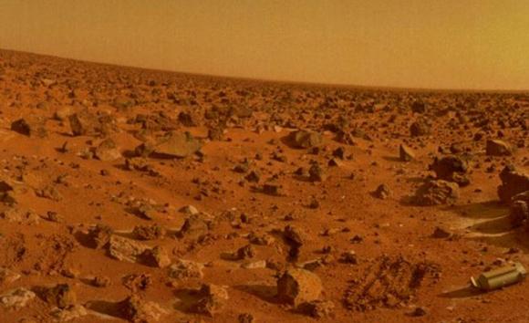 Líquenes que sobreviven en Marte.