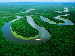 La deforestación del Amazonas se reduce.