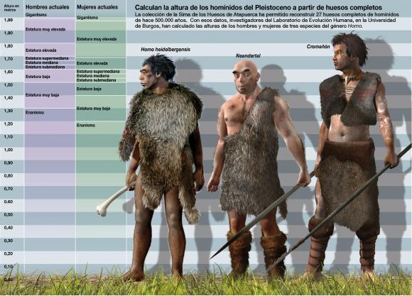 El ´Homo heidelbergensis´ era solo un poco más alto que el neandertal