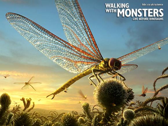 ¿Por qué desaparecieron los insectos gigantes?