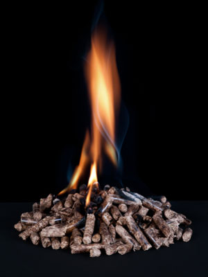 Investigadores mendocinos transforman la basura en energía‏ : Desarrollaron briquetas de los carozos de la aceituna