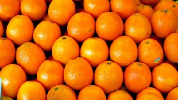Científicos Argentinos lograron incorporar vitamina c en un producto lácteo