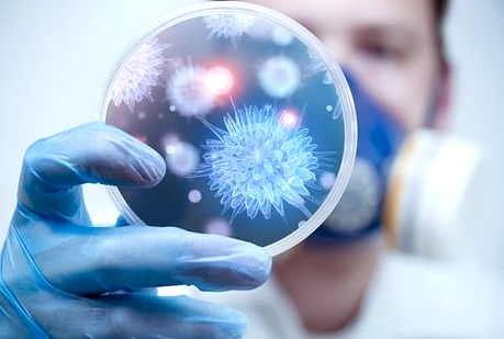 Secuenciado el microbioma, el genoma de los microbios que llevamos ¨a cuestas¨