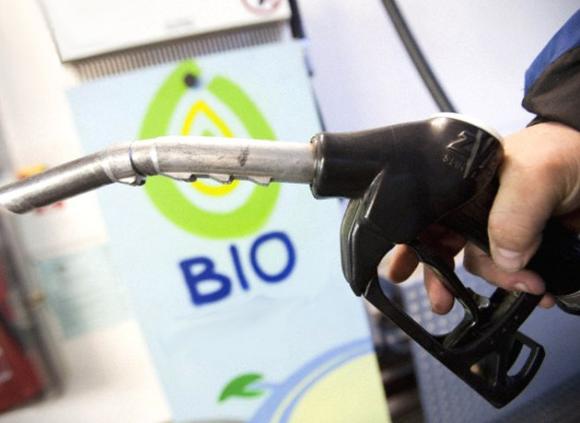 Desarrollan en la Argentina un nuevo biocombustible de bajo costo