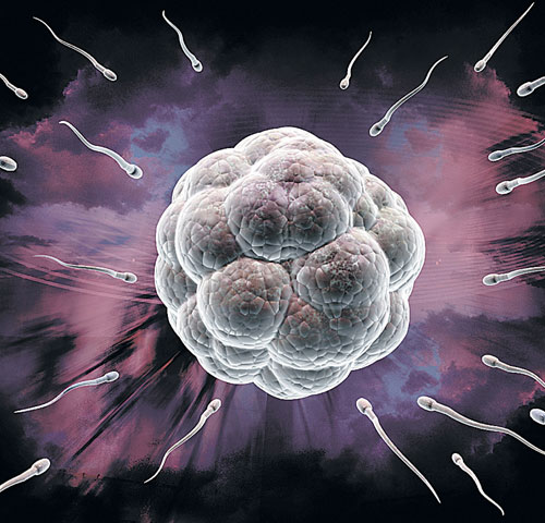 Ropa interior ajustada daña fertilidad masculina.