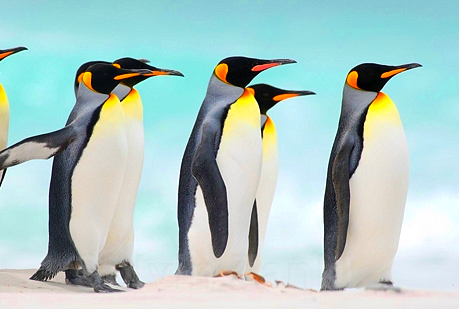 Cada tres minutos se derrite una superficie de hielo ártico equivalente al Bernabéu