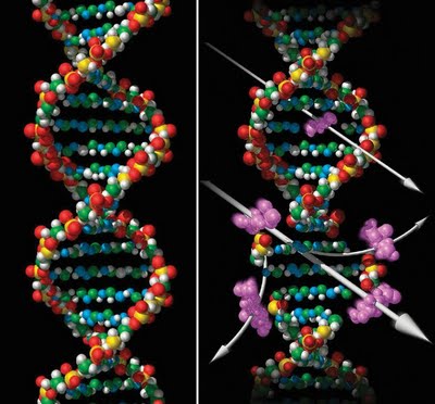 Científico señala ADN humano es de procedencia extraterrestre