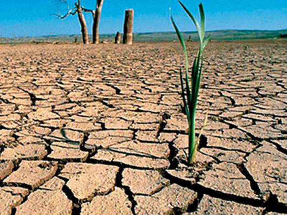 La pérdida de biodiversidad amenaza al ser humano, advierten en Rio+20