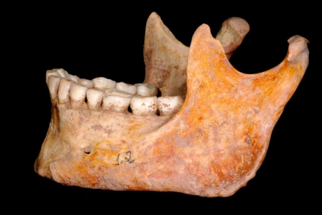 Descifran en España el ADN humano más antiguo de la Prehistoria