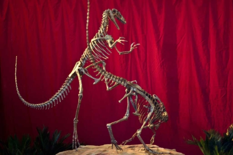 ´Bicentenaria argentina´, un nuevo dinosaurio de hace 90 millones de años