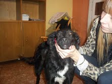 SAMANTA