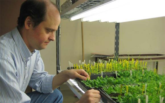 La mitad de los científicos seleccionados por un programa internacional son argentinos