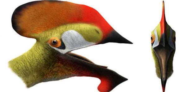 Describen una nueva especie de reptil volador prehistórico hallada en Cuenca