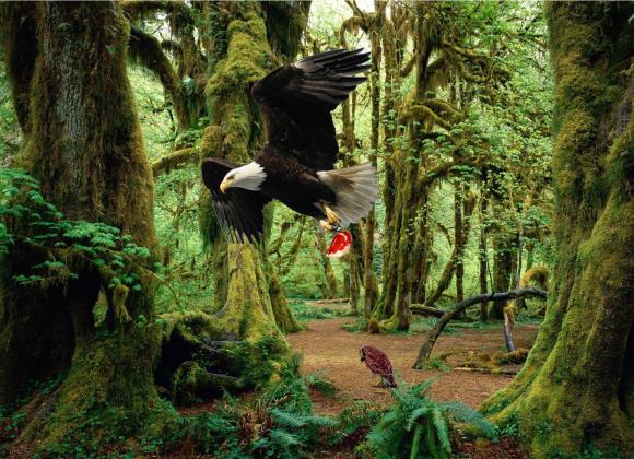 El águila y el chimango (De Mamerto Menapacce)