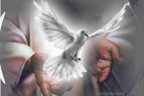 Como huesos resecos…