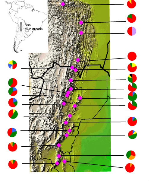 Investigadores Argentinos descifran la distribución de la selva tropical de montaña y bosque andino durante la última glaciación