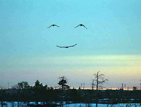 TAMBIEN SE AMA EN SILENCIO