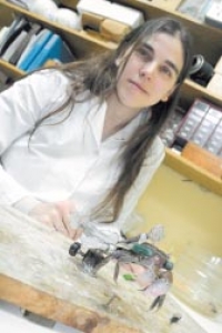 Investigadores Argentinos explican con cangrejos mecanismos clave de la memoria humana