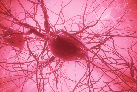 Transforman células del cordón umbilical en neuronas