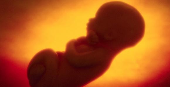 Una mujer británica interrumpe su embarazo una semana antes de dar a luz