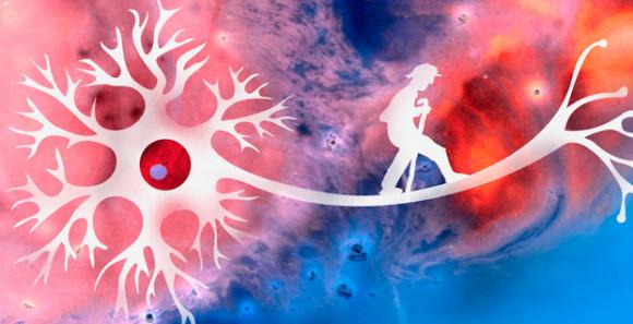 Prueban con éxito un fármaco que detiene el deterioro del Alzheimer