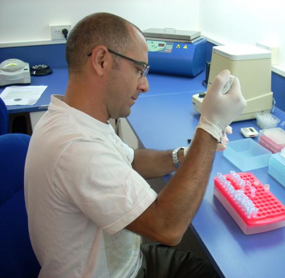 Científicos Argentinos identifican el “código de barras” de un cuarto de los peces del Mar Argentino
