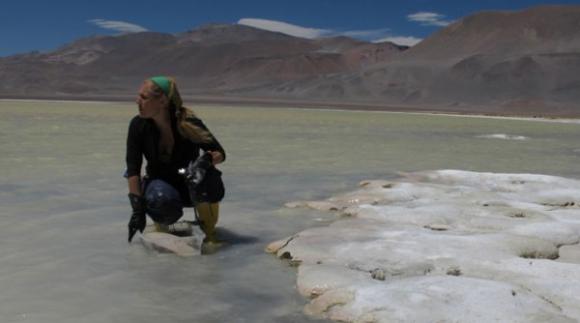 Científicos Argentinos hallan en la Puna la enzima más resistente a los rayos UV y que repara el daño en el ADN