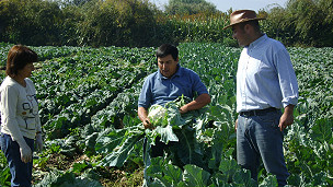 Las redes sociales también transforman la vida rural