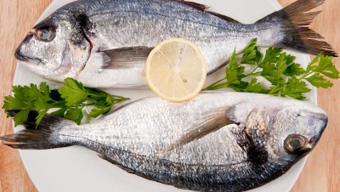 Cientificos Argentinos crean un antidepresivo a base de grasa de pescado