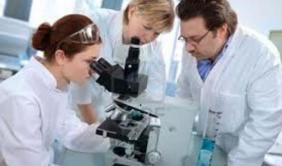 Científicos Argentinos desarrollan un adhesivo biodegradable y no tóxico a base de harina de mandioca y glicerina