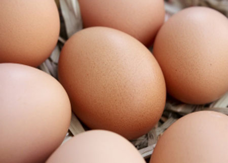 Investigadores Argentinos lograron producir huevos con Omega 3 y por ello más saludables