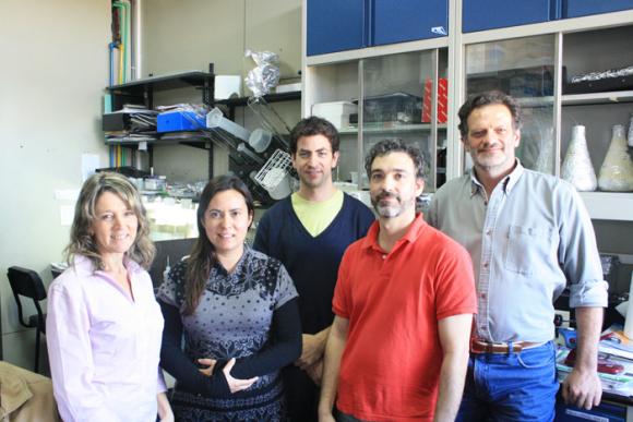 Científicos Argentinos descubren que la luz es una pieza clave de la relación simbiótica entre una bacteria y las arvejas