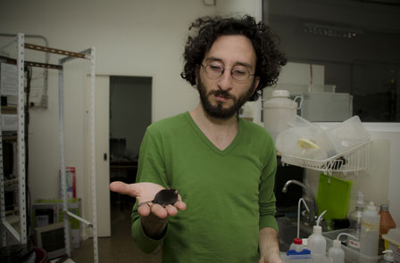 Científico Argentino desarrolló un método que permite disminuir en un 60 % la duración de los episodios de ciertas formas de epilepsia