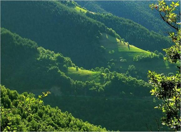 Grandes verdades de la política.