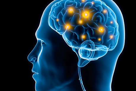 Así limpia tu cerebro su “basura”  