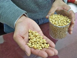 Científicos Argentinos de la UNLP desarrollan un snack saludable