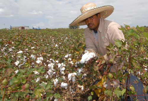 Un tropiezo. Publicado en Cuentos Rodados, Editorial Patria Grande.