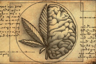 Fumar marihuana en la adolescencia daña la inteligencia de por vida