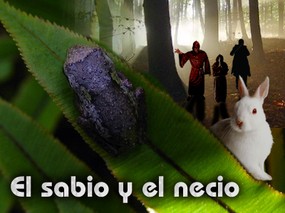 El sabio y el necio